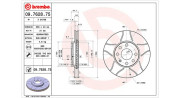 360406038705 Brzdový kotouč MAGNETI MARELLI