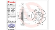 360406039505 Brzdový kotouč MAGNETI MARELLI