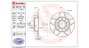 360406175205 Brzdový kotouč MAGNETI MARELLI