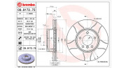 360406175905 Brzdový kotouč MAGNETI MARELLI