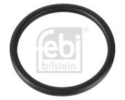 10255 Těsnění, termostat FEBI BILSTEIN