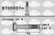 8700007 Šroub řemenice SASIC