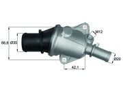 TI 105 88 Termostat, chladivo BEHR MAHLE