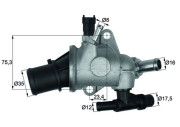 TI 142 83 Termostat, chladivo BEHR MAHLE