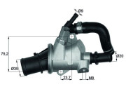 TI 145 88 Termostat, chladivo BEHR MAHLE