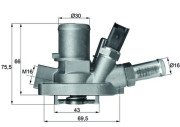 TI 147 80 Termostat, chladivo BEHR MAHLE