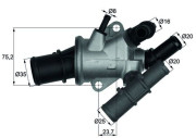 TI 165 88 Termostat, chladivo BEHR MAHLE