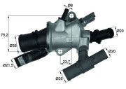 TI 166 88 Termostat, chladivo BEHR MAHLE