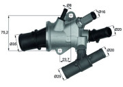 TI 168 88 Termostat, chladivo BEHR MAHLE