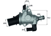 TI 174 88 Termostat, chladivo BEHR MAHLE