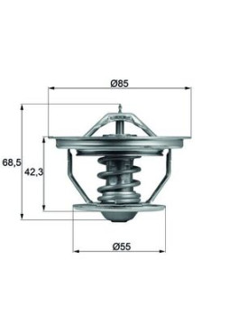 TX 57 71 Termostat, chladivo BEHR MAHLE