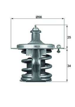 TX 79 78D Termostat, chladivo BEHR MAHLE