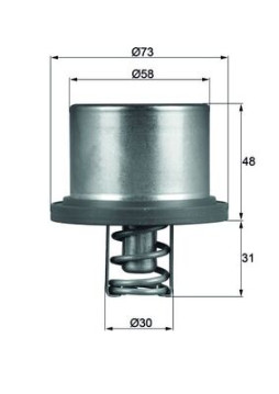 THD 2 89 Termostat, chladivo BEHR MAHLE