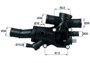 TH 44 83 Termostat, chladivo BEHR MAHLE