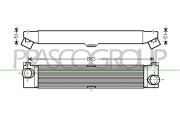 CI954N001 Chladič turba PrascoSelection PRASCO