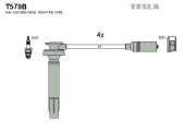 T579B Sada kabelů pro zapalování TESLA