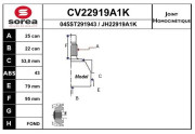 CV22919A1K Sada kloubů, hnací hřídel EAI