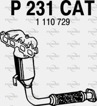 P231CAT FENNO katalyzátor P231CAT FENNO