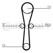 CT954 Ozubený řemen CONTINENTAL CTAM BR