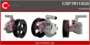 CSP78113GS Hydraulické čerpadlo, řízení Genuine CASCO