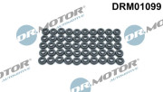 DRM01099 Těsnění, šrouby krytu hlavy válce Dr.Motor Automotive