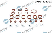 DRM0110SL-22 Dr.Motor Automotive sada tesnení kolena nasávacieho potrubia DRM0110SL-22 Dr.Motor Automotive