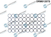 DRM01207S Těsnicí kroužek, držák trysky Dr.Motor Automotive