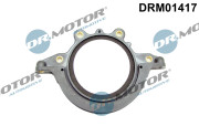 DRM01417 Těsnicí kroužek hřídele, klikový hřídel Dr.Motor Automotive