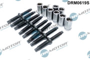 DRM0619S Opravná sada, držák trysky Dr.Motor Automotive