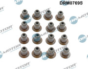 DRM0769S Sada těsnění, dřík ventilu Dr.Motor Automotive