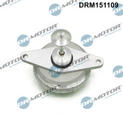 DRM151109 AGR-Ventil Dr.Motor Automotive