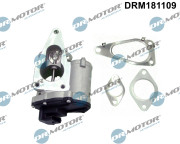 DRM181109 AGR-Ventil Dr.Motor Automotive