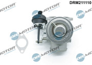 DRM211110 AGR-Ventil Dr.Motor Automotive