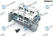 DRM6401 Hlava válce Dr.Motor Automotive